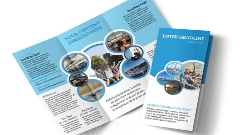 Thiết kế Leaflet Giáo Dục - S'Pencil Agency